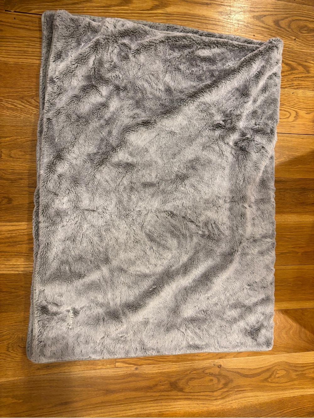 Barney dog blanket